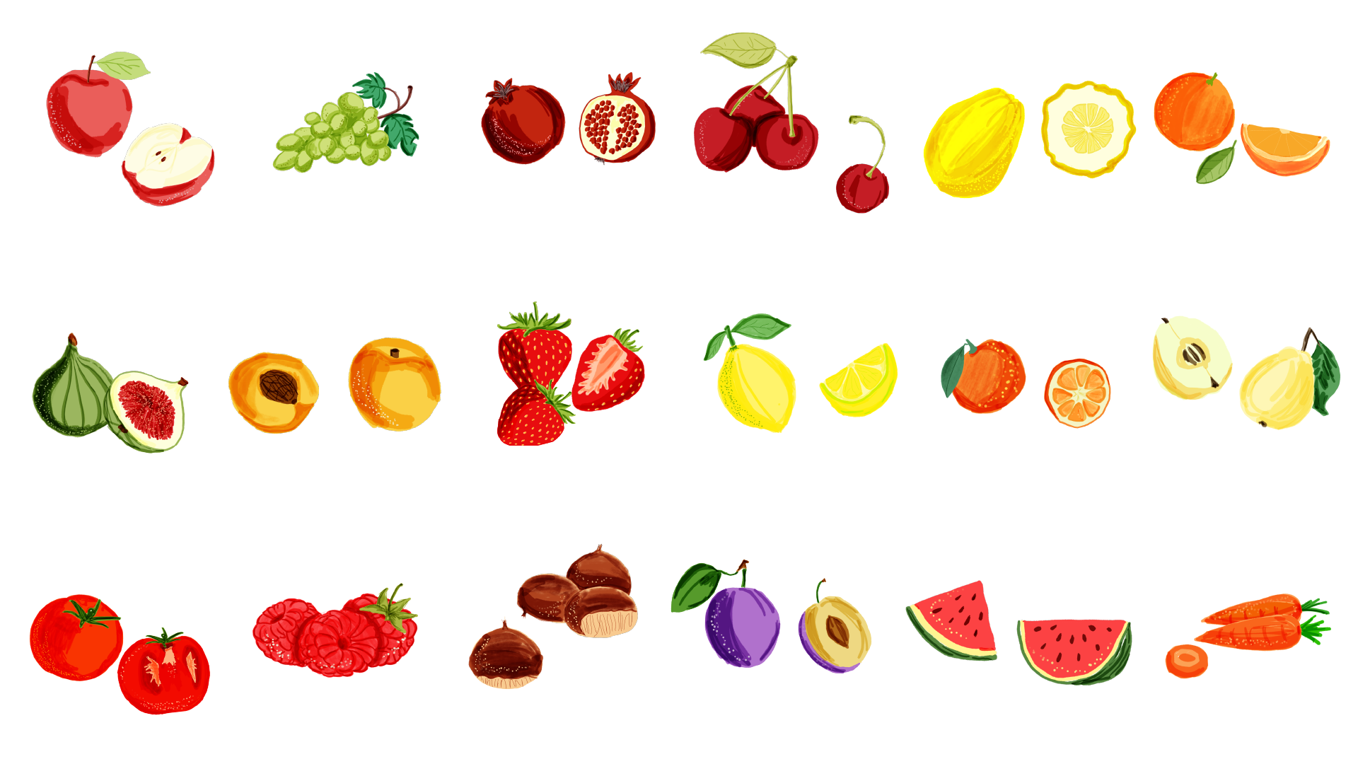 handmade fruit illustrations